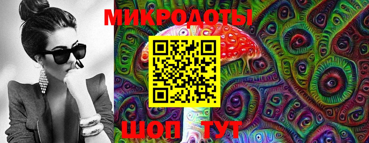 Галлюциногенные грибы Psilocybine cubensis Октябрьский