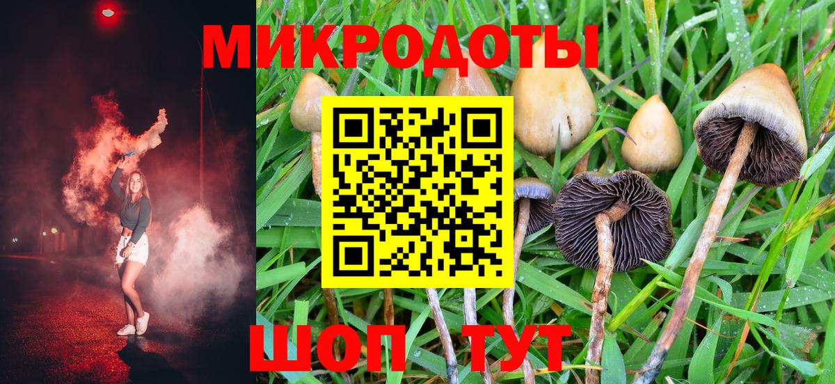 А ПВП Октябрьский